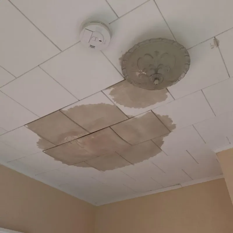 Ceiling Water Damage Repair in Mexico, MO