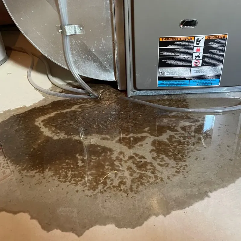 Pipe Burst and Leak Restoration in Mexico, MO