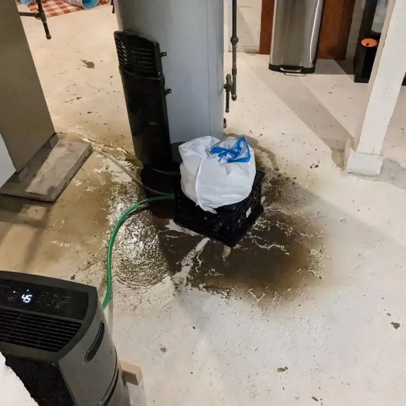Sewage Backup Cleanup Service in Mexico, MO